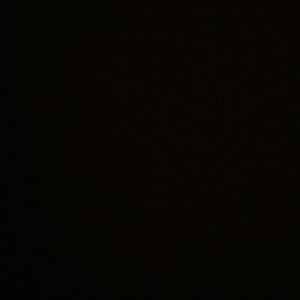 Meet your Posher, Dylan